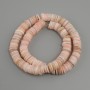 Sea shell Scarfarca rondelle beads, diameter 10x1.5–2mm, thread length 37cm ± on thread