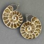 Ammonite souvenir stone, assorted diameter 36×42 mm ± (in packaging, a pair), weight 45 g