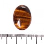 Cabochon Tiger's Eye Findings 25×18mm