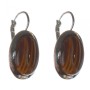 Clearance. (25mm) Women's Earrings with Tiger's Eye Stone