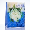 Gift Bag 24x18cm (PE material)