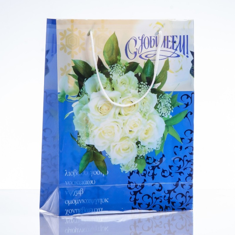 Gift Bag 24x18cm (PE material)