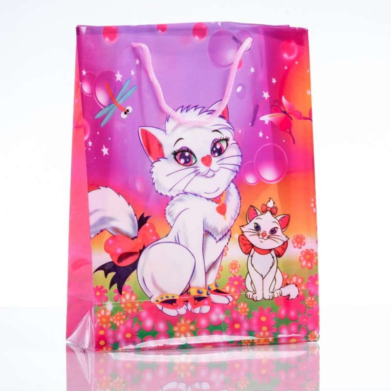 Gift Bag 24x18cm (PE material)
