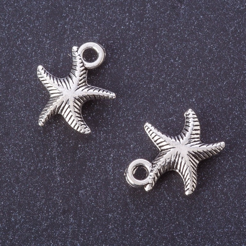 Findings Starfish Pendant Metal Colour "Silver" d 15x13mm Pack 20g +/-17pcs