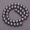 Natural Hematite Stone Beads on Fishing Line, Smooth Bead, 10mm Diameter, 38cm Length