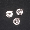 Pendant Fittings Zodiac Leo, diameter 17mm packaging 20g ± 10pcs