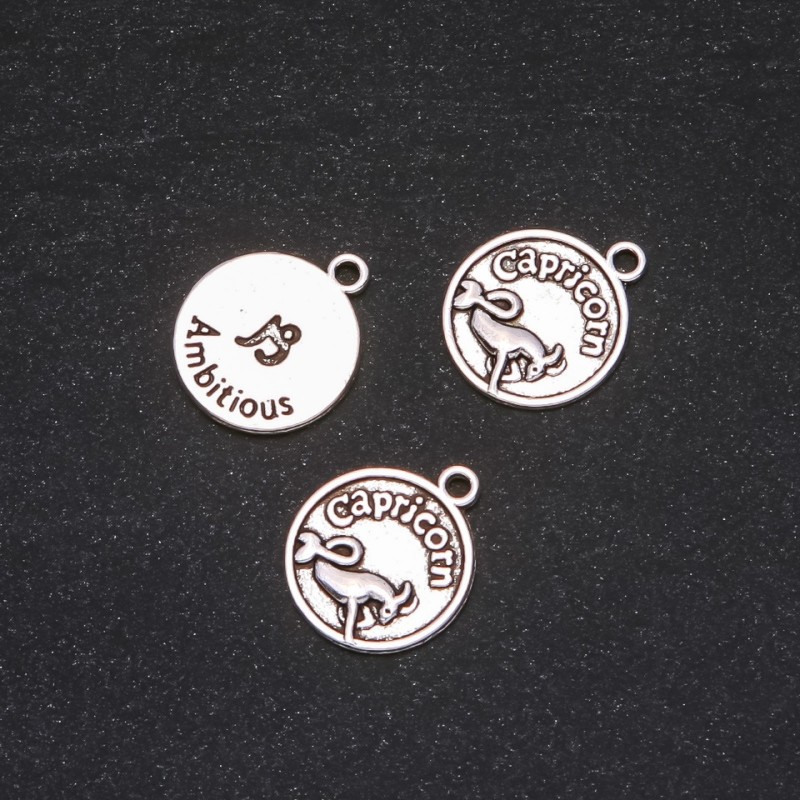 Pendant Fittings Zodiac Capricorn, diameter 17mm packaging 20g ± 12 pcs