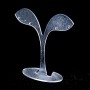 Earring Stand, Matte Plastic, Height 80mm, Width 79mm, Depth 29mm