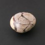 Septarian Souvenir Stone, Assorted Sizes (price per 100 grams), weight from 120 grams