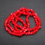 Beads on Fishing Line Tinted Mother-of-Pearl Chips, Diameter 5-10x2-4 (+/-) mm, Length 80cm