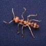 Sale! Ant Brooch with Enamel, gold-tone metal 42x57mm