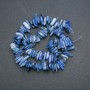 Kyanite Natural Stone Chip Beads "Needle", Diameter 18x3mm, Length 40cm +/- on Thread