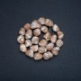 Natural Beige Mother-of-Pearl Beads on Thread, Tumbled, Diameter 19x12mm, Length 41cm +