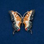 Sale! Butterfly Brooch with Multicoloured Rhinestones, Gold-Tone Metal 50x55mm +