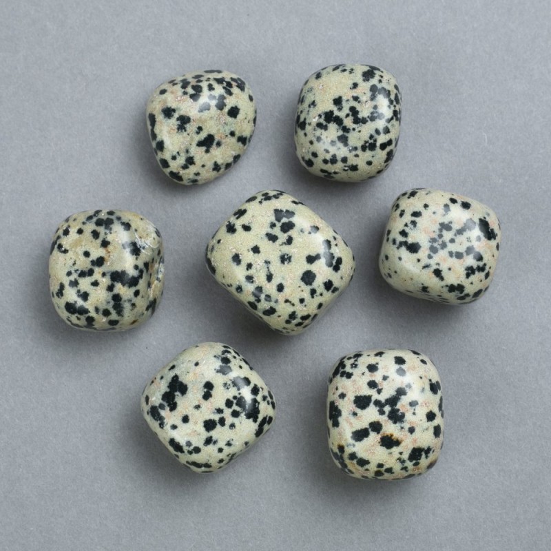 Souvenir Natural Stone Dalmatian Jasper, diameter 22x20mm+/- (100g pack)