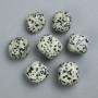 Souvenir Natural Stone Dalmatian Jasper, diameter 22x20mm+/- (100g pack)