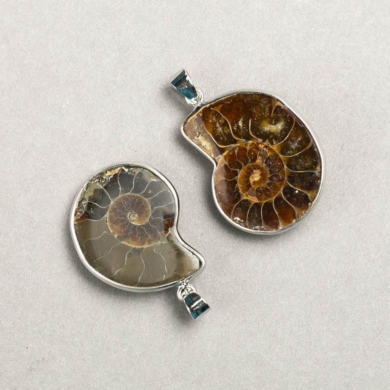 Pendant Ammonite in Silver-Tone Setting Assorted Sizes from 20x30mm+- to 30x40mm+- (per pc.)