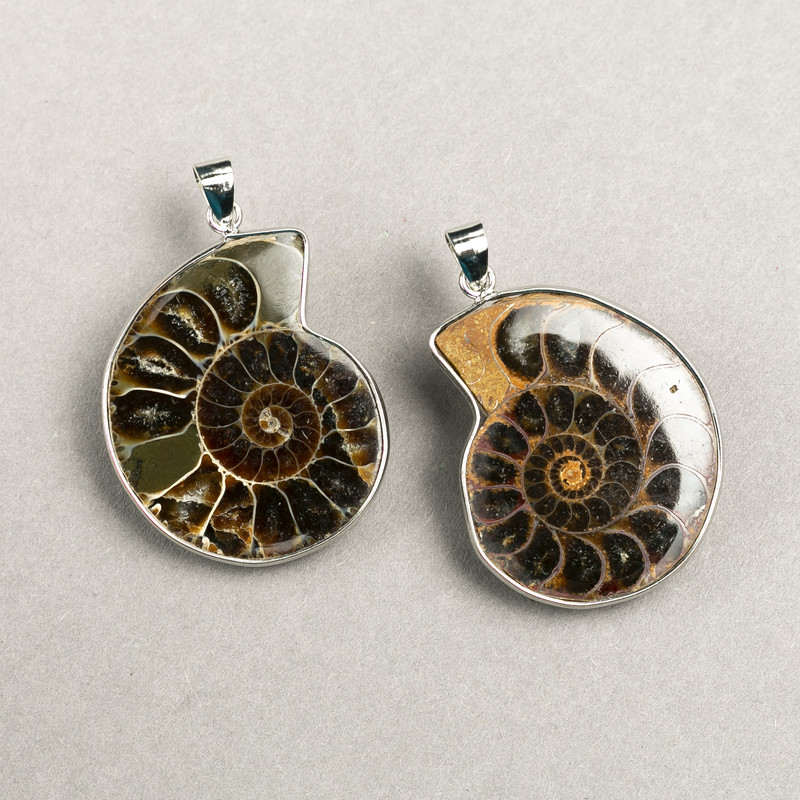 Pendant Ammonite in Silver-Tone Setting Assorted Sizes from 30x40mm+- to 40x50mm+- (per pc.)