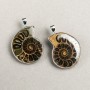 Pendant Ammonite in Silver-Tone Setting Assorted Sizes from 30x40mm+- to 40x50mm+- (per pc.)