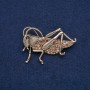 Grasshopper Brooch, Gold-Tone Metal with Black and Yellow Rhinestones, 57x38mm +