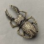 May Bug Brooch with Rhinestones, Gold-Tone Metal 28x57mm