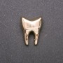 Golden Tooth Brooch, yellow metal 17×23mm