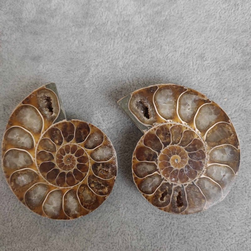 Ammonite 55×45×10(±) mm. Price per 100 g