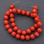 Natural Sponge Coral Beads, smooth round, diameter 12mm+/-, length 37cm, strand