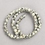 Dalmatian Jasper Beads on Thread, Smooth Round, Diameter 6mm+/-, Length 38cm+