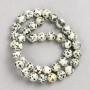 Dalmatian Jasper Beads on Thread, Smooth Round, Diameter 10mm+/-, Length 38cm+