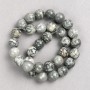 Grey Ocean Jasper Beads on String, Smooth Round, Diameter 12mm, Length 38cm+