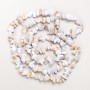 Blue Agate Natural Stone Chip Beads on a Strand, Diameter 9x3mm+-, Length 80cm+