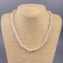 Freshwater Pearl Necklace d 7×5mm + -, length 47cm