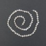 Freshwater pearls with petrol-blue tint on thread, diameter 5.5×4.5 mm, length 37 cm ±
