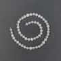 Freshwater pearls with a petrol hue on a thread, diameter 6.5×4.5–6 mm, length 36 cm
