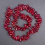 Natural Coral Bead grains, diameter 13×6mm±, length 40cm± on thread