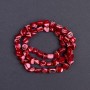 Toned red mother-of-pearl lentil beads, 8x6mm, ± on thread, length 41cm ±