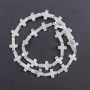Mother-of-Pearl Cross Beads, size 10x15x3.5mm+-, length 40cm+- on fishing line