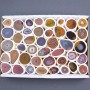 Souvenir geode of carnelian assortment sizes (price per box)