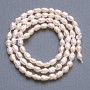 Small River Pearls on Thread, Diameter 4x4.5mm+/-, Length 36cm+