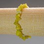 Yellow Jadeite Bracelet Chips, Diameter 10x4mm+/-, Length 18cm (Stretch)