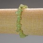 Prehnite Bracelet Natural Stone Chips, Diameter 8x3mm+/-, Length 18cm (Stretch)